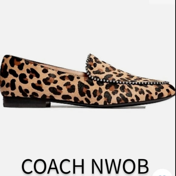 Coach Harper Calf Hair Studded Loafers - Picture 1 of 10